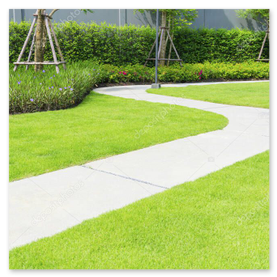 Gebogener Weg mit Randsteinen