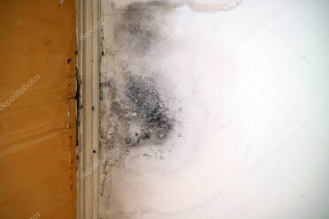 Erste Schritte nach einem Wasserschaden in einem Wohnraum